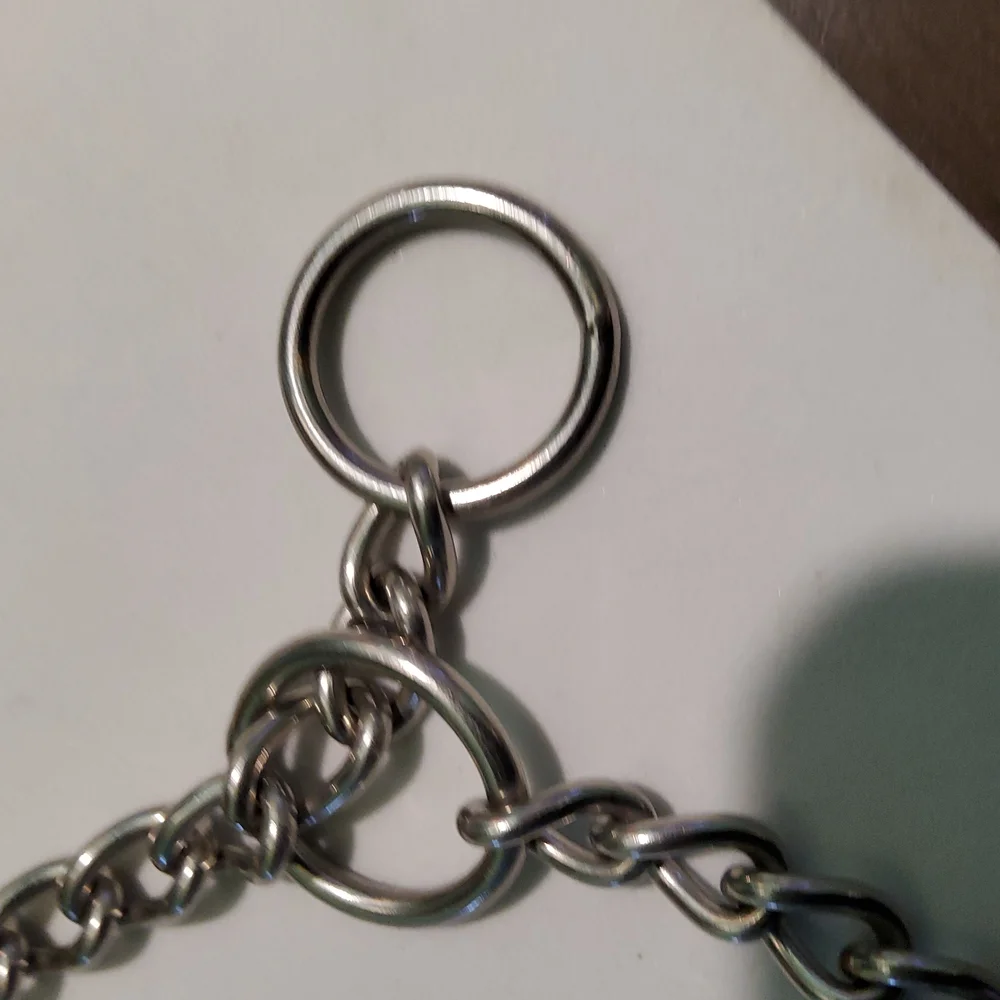 Slip Collar Dog Chain